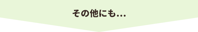 その他にも